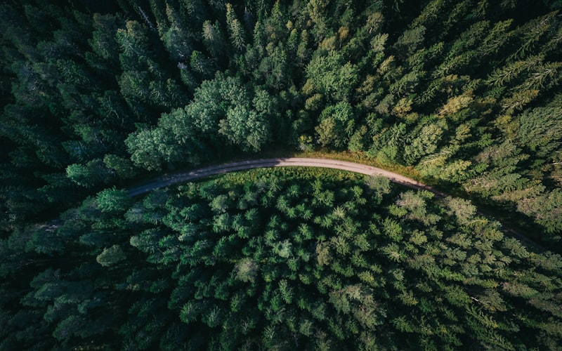 山林を抜ける山間道路